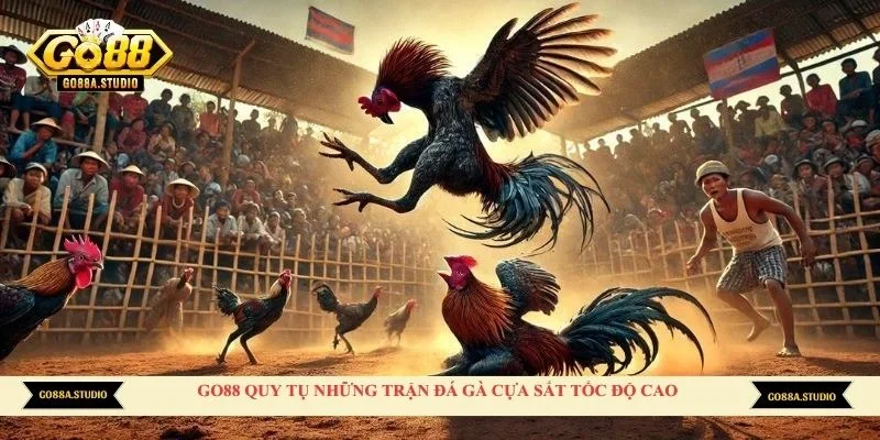 Go88 quy tụ những trận đá gà cựa sắt tốc độ cao