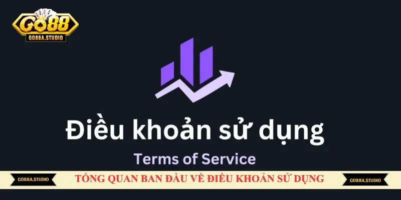 Tổng quan ban đầu về điều khoản sử dụng